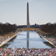 Illustration for article titled Nation’s Gay Straw Men March On Washington For Right To Marry Animals